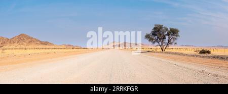 A sand road in the middle of the desert with a group of trees and Tiras Mountains in the background, Kanaan Desert Retreat, on the border of Namib Des Stock Photo