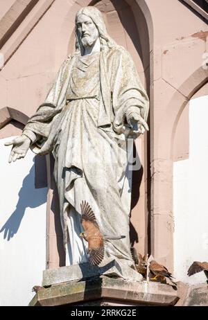 Karlsruhe-Durlach, kestrels, nesting near a Christ figure. [M] Stock Photo