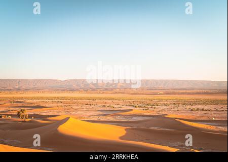 Morocco, southern Morocco, Chegagga, Sahara, desert, sunrise, sand, dunes, sand dunes Stock Photo