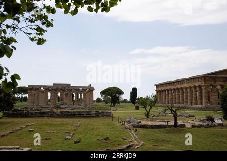 Paestum Archaeological Park, beautiful historical ruins of temples from the Roman period, Campania, Salerno, Italy Stock Photo