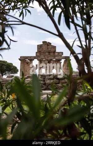 Paestum Archaeological Park, beautiful historical ruins of temples from the Roman period, Campania, Salerno, Italy Stock Photo