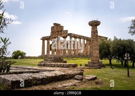 Paestum Archaeological Park, beautiful historical ruins of temples from the Roman period, Campania, Salerno, Italy Stock Photo