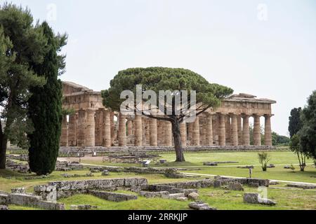 Paestum Archaeological Park, beautiful historical ruins of temples from the Roman period, Campania, Salerno, Italy Stock Photo