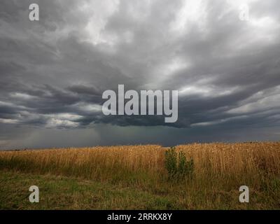 Thunderstorm cell over Thuringia. Stock Photo