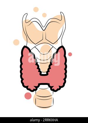 Thyroid. Doodle style vector illustration Stock Vector