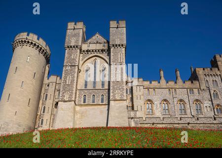 England, Sussex, West Sussex, Arundel, Arundel Castle and Tulips Stock Photo