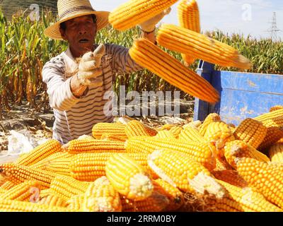 220923 -- BEIJING, Sept. 23, 2022 -- A villager loads corn cobs onto a vehicle in Huajian Village of Anding District in Dingxi City, northwest China s Gansu Province, Sept. 22, 2022. Chinese farmers harvest festival, which coincides with the Autumn Equinox each year, falls on Sept. 23 this year. Photo by /Xinhua CHINA-CHINESE FARMERS HARVEST FESTIVAL-AUTUMN EQUINOX CN WangxKexian PUBLICATIONxNOTxINxCHN Stock Photo