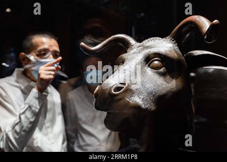 220926 -- SHANGHAI, Sept. 26, 2022 -- Visitors view a bronze ox head at the exhibition Return in Golden Age: China s Retrieved Cultural Relics Exhibition in east China s Shanghai, Sept. 26, 2022. Return in Golden Age: China s Retrieved Cultural Relics Exhibition was launched Monday at the Minhang Museum in east China s Shanghai. The exhibition features China s cultural relics retrieved from overseas and now kept by the Poly Art Museum and the administration office of the Yuanmingyuan. Among the exhibits are bronze Chinese zodiac animal heads that belonged to the Yuanmingyuan Park, as well as b Stock Photo