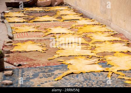 Leather being dried on a rooftop of a tannery in Fes, Morocco Stock Photo