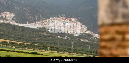 Scenic village Moulay Idriss du Zerhoun seen from the archeological site Volubilis, Morocco Stock Photo