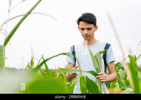 young guy farmer stands in a cornfield Stock Photo