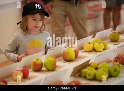 221016 -- VANCOUVER, Oct. 16, 2022 -- A child looks at different varieties of apples during the annual apple festival at the Botanical Garden of the University of British Columbia in Vancouver, British Columbia, Canada, Oct. 15, 2022. The event is held here from Oct. 15 to 16. Photo by /Xinhua CANADA-VANCOUVER-UBC-APPLE FESTIVAL LiangxSen PUBLICATIONxNOTxINxCHN Stock Photo