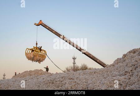 221023 -- URUMQI, Oct. 23, 2022 -- Workers sort newly-harvested cotton at a cotton ginning factory in Shawan, northwest China s Xinjiang Uygur Autonomous Region, Oct. 22, 2022. The cotton harvest season started in October in Xinjiang, the largest cotton-growing area in China. Photo by /Xinhua CHINA-XINJIANG-COTTON-HARVEST CN SunxZhikun PUBLICATIONxNOTxINxCHN Stock Photo