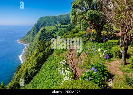 Hiking trail clinging to the cliffs edge surrounded by blooming Hydrangea shrubs at Sossego Viewpoint near Nordeste, Sao Miguel Island, Azores, Portugal. Stock Photo