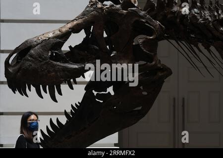 221028 -- SINGAPORE, Oct. 28, 2022 -- A visitor looks at the skeleton of a Tyrannosaurus Rex named Shen at the Victoria Theatre and Concert Hall in Singapore on Oct. 28, 2022. The skeleton is displayed in Singapore from Friday to Sunday, before being auctioned in China s Hong Kong. Photo by /Xinhua SINGAPORE-TYRANNOSAURUS REX-EXHIBITION ThenxChihxWey PUBLICATIONxNOTxINxCHN Stock Photo