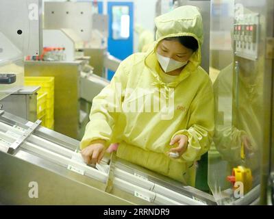 230105 -- XI AN, Jan. 5, 2023 -- An employee works at a pharmaceutical company in Xi an, northwest China s Shaanxi Province, Jan. 4, 2023. Pharmaceutical companies and medical equipment companies are working to meet the public needs for anti-COVID-19 supplies.  CHINA-SHAANXI-XI AN-MEDICINE-MEDICAL EQUIPMENT-SUPPLY CN LiuxXiao PUBLICATIONxNOTxINxCHN Stock Photo