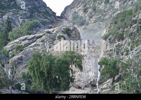 230109 -- BEIJING, Jan. 9, 2023 -- Herdsmen move their livestock to summer pastures in Fuhai County of Altay, northwest China s Xinjiang Uygur Autonomous Region, June 5, 2022.  XINHUA-PICTURES OF THE YEAR 2022-CHINA NEWS HaoxJianwei PUBLICATIONxNOTxINxCHN Stock Photo