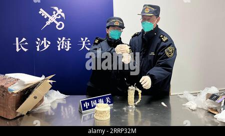 230214 -- CHANGSHA, Feb. 14, 2023 -- This photo taken on Feb. 9, 2023 shows customs officials checking on ivory items seized from an imported package in Changsha, capital of central China s Hunan Province. Customs officials have seized three ivory items weighing about 1 kg in total from an imported package in Changsha. The seizure made on Feb. 9 was the largest of its kind reported by Changsha Customs since 2020, according to customs officials. Changsha Customs/Handout via Xinhua CHINA-HUNAN-CHANGSHA-CUSTOMS-IVORY ITEMS-SEIZURE CN ZhangxYujie PUBLICATIONxNOTxINxCHN Stock Photo