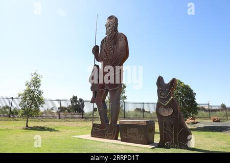 The Big Bogan statue at 70 Pangee Street in Nyngan, New South Wales, Australia Stock Photo