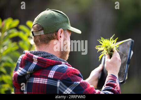 farmer wearing a hat being sun smart. using technology and a tablet and phone in a field, studying a soil and plant sample in field. Stock Photo