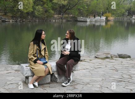 230415 -- BEIJING, April 15, 2023 -- Maria R chats with her language partner Yin Yue, a student majoring in Teaching Chinese as a Second Language, at Peking University in Beijing, capital of China, April 13, 2023. Maria Eduarda Variani, Rafaela Viana dos Santos, Manuela Boiteux Pestana, and Marco Andre Rocha Germano are Brazilian students studying in the Master of China Studies program at the Yenching Academy of Peking University in China. The four of them have been interested in Chinese culture since they were young. After arriving in Beijing, they have been impressed by the Chinese capital s Stock Photo