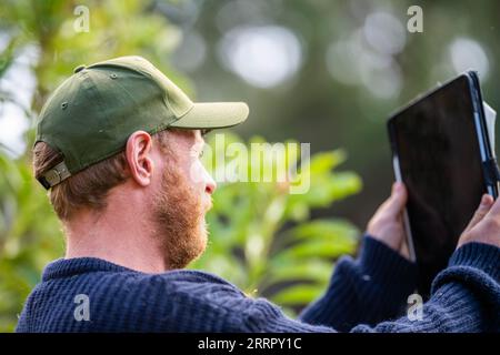 farmer wearing a hat being sun smart. using technology and a tablet and phone in a field, studying a soil and plant sample in field. Stock Photo