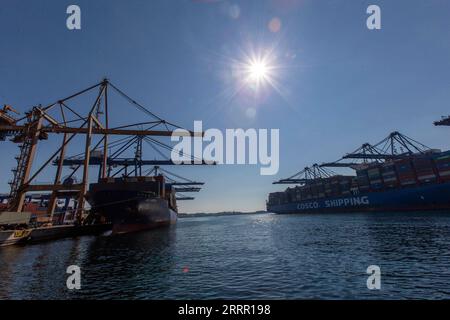 230424 -- ATHENS, April 24, 2023 -- Container ships dock at the container terminal II and III in Piraeus port, Greece, Feb. 16, 2023. Over 13 years of win-win cooperation between China s COSCO Shipping and Greece s largest port Piraeus have proven to be an exemplary case of common development, top managers and employees of the landmark investment project have said. TO GO WITH World Insights: Sino-Greek cooperation at Piraeus port showcases common development  GREECE-PIRAEUS PORT-SINO-GREEK COOPERATION MariosxLolos PUBLICATIONxNOTxINxCHN Stock Photo