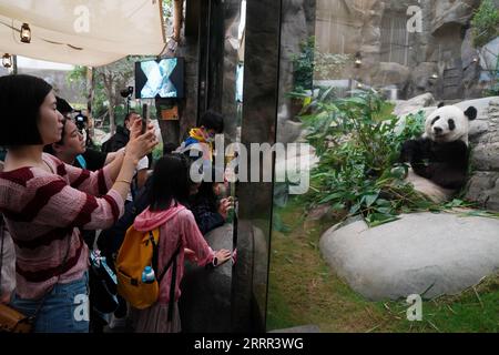 230430 -- HONG KONG, April 30, 2023 -- Tourists take photos of giant panda Yingying at Ocean Park Hong Kong, south China s Hong Kong, April 19, 2023. On a spring morning, Hong Kong Observatory issued a rainstorm alert. At Ocean Park Hong Kong, as soon as they arrived at work at 8:00 a.m., the caretakers rushed to check out the situation of Lele and Yingying, two 17-year-old giant pandas, as they might be disturbed by the adverse weather. The two plump and fluffy creatures just woke up and lay cozily in the dormitory, where the temperature was kept between 18 to 24 degrees Celsius. The exhibiti Stock Photo