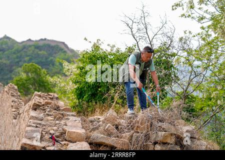 230514 -- ZUNHUA, May 14, 2023 -- Zhao Chunsheng clears weeds on the Great Wall in Zunhua City, north China s Hebei Province, May 13, 2023. Zhao Chunsheng, 52, is a villager from Qianhouzhangzi Village, Houjiazhai Township of Zunhua City. In 2018, he was hired by local cultural protection department as a Great Wall protector. Zhao is responsible for guarding about five kilometers of the Great Wall built in Ming dynasty 1368-1644, including five watch towers and four beacon towers. Every two or three days, he would patrol the Great Wall, clear rubbish and weeds, and arrange fallen bricks. The j Stock Photo