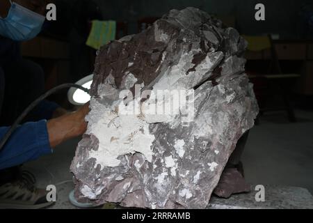 230519 -- LONGYAN, May 19, 2023 -- This photo taken on Nov. 24, 2022 shows a researcher working on a part of fossilized dinosaur eggs discovered in Huangzhu Village of Shanghang County, Longyan City, southeast China s Fujian Province. TO GO WITH Fossilized dinosaur egg found in east China s Fujian CHINA-FUJIAN-ARCHAEOLOGICAL DISCOVERY-DINOSAUR EGG CN QinxHong PUBLICATIONxNOTxINxCHN Stock Photo