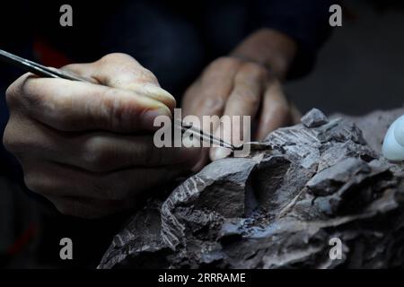 230519 -- LONGYAN, May 19, 2023 -- This photo taken on Dec. 3, 2022 shows a researcher working on a part of fossilized dinosaur eggs discovered in Huangzhu Village of Shanghang County, Longyan City, southeast China s Fujian Province. TO GO WITH Fossilized dinosaur egg found in east China s Fujian CHINA-FUJIAN-ARCHAEOLOGICAL DISCOVERY-DINOSAUR EGG CN QinxHong PUBLICATIONxNOTxINxCHN Stock Photo