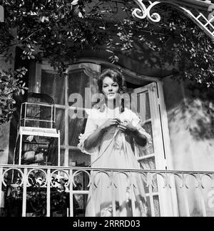 Christine, Spielfilm nach dem Schauspiel 'Liebelei' von Arthur Schnitzler, Frankreich/Italien 1958, Regie: Pierre Gaspard-Huit, Darsteller: Romy Schneider Stock Photo