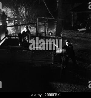 Agatha, laß das Morden sein!, Krimikomödie, Deutschland 1960, Regie: Dietrich Haugk, Szenenfoto Stock Photo