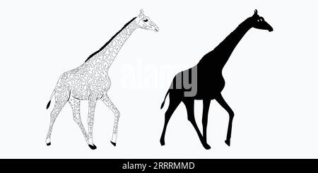 giraffe black silhouette, giraffe vector outline design, Giraffe vector black and white Stock Vector