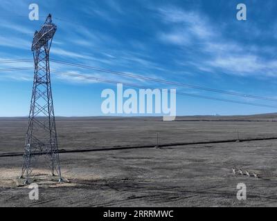 230604 -- GOLMUD, June 4, 2023 -- This aerial photo taken on June 4, 2023 shows Kiangs Equus kiang passing by a power transmission tower at Tanggulashan Township of Golmud City in the Mongolian-Tibetan Autonomous Prefecture of Haixi, northwest China s Qinghai Province. Since 2012, the State Grid s Qinghai Electricity Power Company would conduct its annual centralized maintenance of the Qinghai-Tibet grid interconnection project, whose grid lines are laid at the plateau with an average altitude of 4,500 meters. Low temperatures, lack of oxygen and strong winds on the plateau challenge the opera Stock Photo