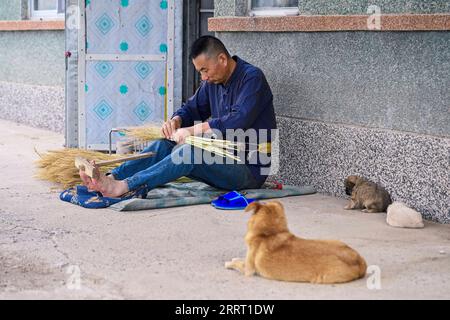 230622 -- CHANGCHUN, June 22, 2023 -- Rong Fengming makes a broom handicraft at home in Yushutai Town of Siping City, northeast China s Jilin Province, June 21, 2023. Rong Fengming, 63, is a local broom making handicraftsman living in Yushutai Town of Siping City in northeast China s Jilin. Till now, the making skills of traditional broom have been passed down in Rong s family for six generations. The broom handicrafts Rong has made range from over 4-meter-long large brooms to tiny brooms used as decorations. As a cleaning tool created by ancient Chinese with a long history, the broom has carr Stock Photo