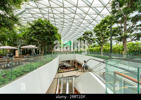 Changi Airport Terminals 1 & 3 Reopens To The Public With Around The World  at Changi Airport Travel-Themed Exhibitions • RailTravel Station