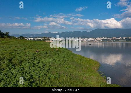 230717 -- ZHONGXIAN, July 17, 2023 -- This aerial photo taken on July 5, 2023 shows an area of the Three Gorges Reservoir in Zhongxian County, southwest China s Chongqing. The Three Gorges Reservoir region, home to the world s largest hydropower project, covers about 10,000 square km along the Yangtze River, China s longest waterway. The seasonal gaps in the reservoir s water levels have resulted in a water-level fluctuation zone covering 349 square kilometers along the Yangtze River. The zone suffers environmental problems, including soil erosion and pollution. Researchers of the Institute of Stock Photo