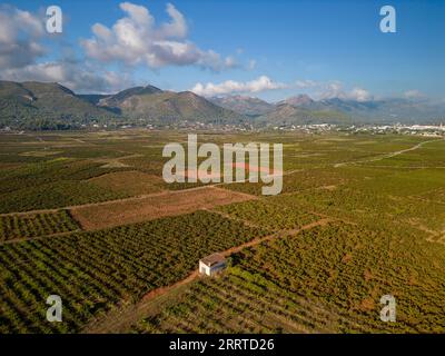 Vall de Pop, the vineyards in Lliber and Xalo, Costa Blanca, Spain - stock photo Stock Photo