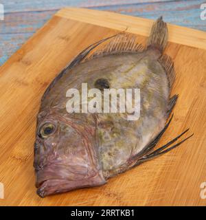 Saint-Pierre Seafish, Zeus Faber, John Dory, Pez de San Pedro, fish, isolated on cutting board background Stock Photo