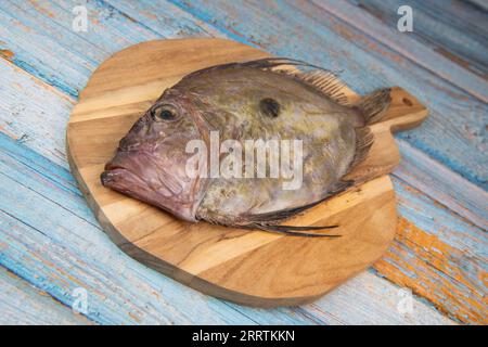 Saint-Pierre Seafish, Zeus Faber, John Dory, Pez de San Pedro, fish, isolated on cutting board background Stock Photo