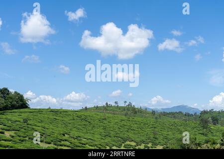 Wayanad Rural Area Wayanad is a rural district in Kerala state, southwest India Stock ...