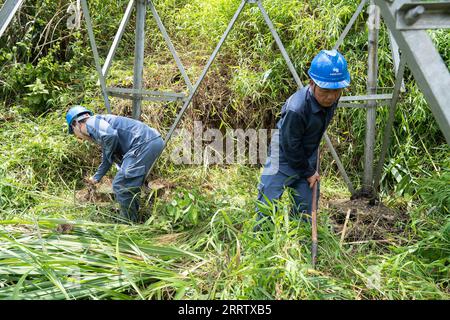 230812 -- PINGXIANG, Aug. 12, 2023 -- Deng Yiqiang R and Yao Zhengqiang weeds near a transmission line tower and check its condition in Pingxiang, south China s Guangxi Zhuang Autonomous Region, Aug. 10, 2023. Wen Xianwen, Yao Zhengqiang, Deng Yiqiang and Li Yingxing are members of a team of maintenance personnel from the Guangxi branch of China Southern Power Grid s Pingxiang power supply station. Workers of the team, which was founded in 1974, have patrolled nearly 250,000-kilometer-long power transmission lines over the past 49 years. Led by Wen at present, the team has entered its fourth g Stock Photo