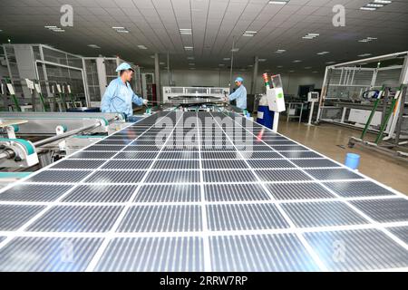 230815 -- GUIYANG, Aug. 15, 2023 -- Workers produce photovoltaic modules at the workshop of a new energy company in Yi-Hui-Miao Autonomous County of Weining, southwest China s Guizhou Province, July 19, 2023. Guizhou has seized the opportunity and made big stride in the development of new energy industry, such as wind power and photovoltaic power, in recent years. While vigorously developing green energy, Guizhou has also made full use of the land under photovoltaic panels to develop farming and livestock breeding. By the end of June 2023, the total installed capacity of new energy in Guizhou Stock Photo