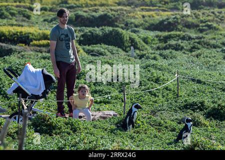 230818 -- BETTY S BAY, Aug. 18, 2023 -- Tourists look at African penguins at the Stony Point Nature Reserve in Betty s Bay, Western Cape Province, South Africa, March 30, 2019. South Africa, to hold the 15th BRICS summit this month, is the southernmost country in Africa. It is the only country in the world with three capitals, with Pretoria as its administrative capital, Cape Town as its legislative capital and Bloemfontein the judicial capital. Other major cities include Johannesburg and Durban. South Africa has a pleasant climate and famous tourist destinations such as Cape of Good Hope, Kru Stock Photo