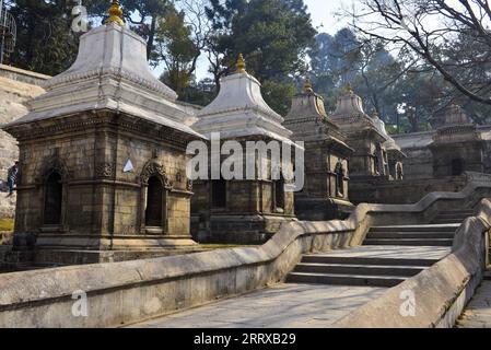 Stairs leading to the upper part of the Pashupatinath Temple cluster, a large Hindu Temple complex dedicated to Shiva on the banks of Bagmati River. Stock Photo