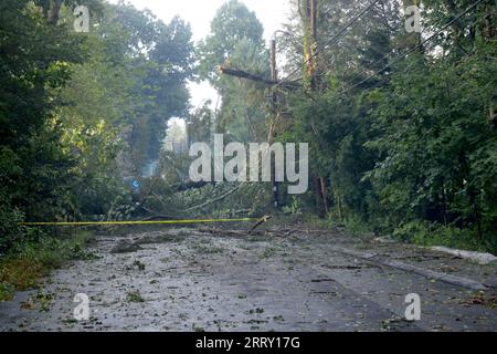 W.Acton, MA, USA. 7th Sep, 2023. Strong thunder storm has caused significant damage west of Boston slowing traffic on Route 2 West. Trees are down on the commuter trains rails and power lines in Acton are down throughout the area. 57,000 people are without power in parts of the state. (Credit Image: © Kenneth Martin/ZUMA Press Wire) EDITORIAL USAGE ONLY! Not for Commercial USAGE! Stock Photo