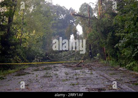 W.Acton, MA, USA. 7th Sep, 2023. Strong thunder storm has caused significant damage west of Boston slowing traffic on Route 2 West. Trees are down on the commuter trains rails and power lines in Acton are down throughout the area. 57,000 people are without power in parts of the state. (Credit Image: © Kenneth Martin/ZUMA Press Wire) EDITORIAL USAGE ONLY! Not for Commercial USAGE! Stock Photo