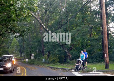 W.Acton, MA, USA. 7th Sep, 2023. Strong thunder storm has caused significant damage west of Boston slowing traffic on Route 2 West. Trees are down on the commuter trains rails and power lines in Acton are down throughout the area. 57,000 people are without power in parts of the state. (Credit Image: © Kenneth Martin/ZUMA Press Wire) EDITORIAL USAGE ONLY! Not for Commercial USAGE! Stock Photo