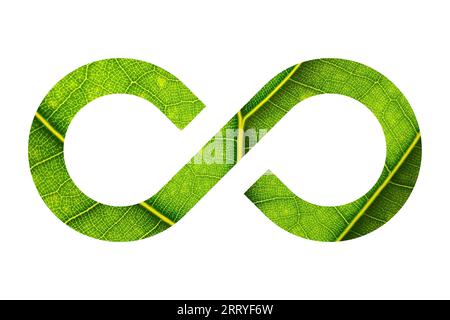 Green leaf,cloud,grass infinity symbol on white background, Environmental conservation and clean energy, 3d rendering. Stock Photo